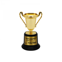 Купа Най-добрата Госпожа