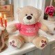 Плюшено мече с розова тениска, кафяво, 20 см Плюшено мече с розова тениска, кафяво, 20 см