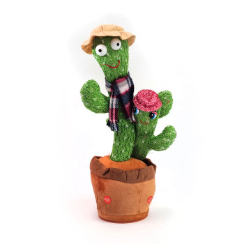 Двоен танцуващ кактус, 35 см