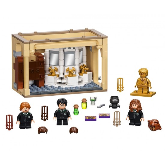 LEGO® Harry Potter™ 76386 - Хогуортс: грешка с многоликова отвара