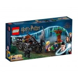 LEGO® Harry Potter™ 76400 - Хогуортс: каляска и тестрали